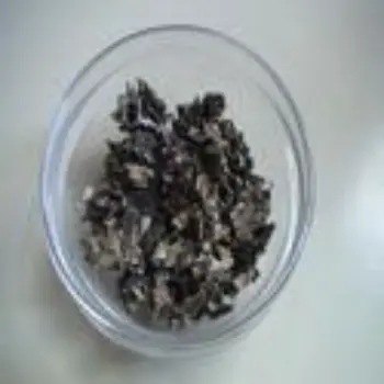  Fresh Black Stone Flower